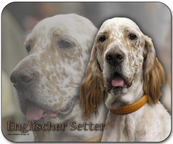 Mousepad Englischer Setter